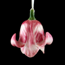 Flower Bells Tulpe rosa-weiss